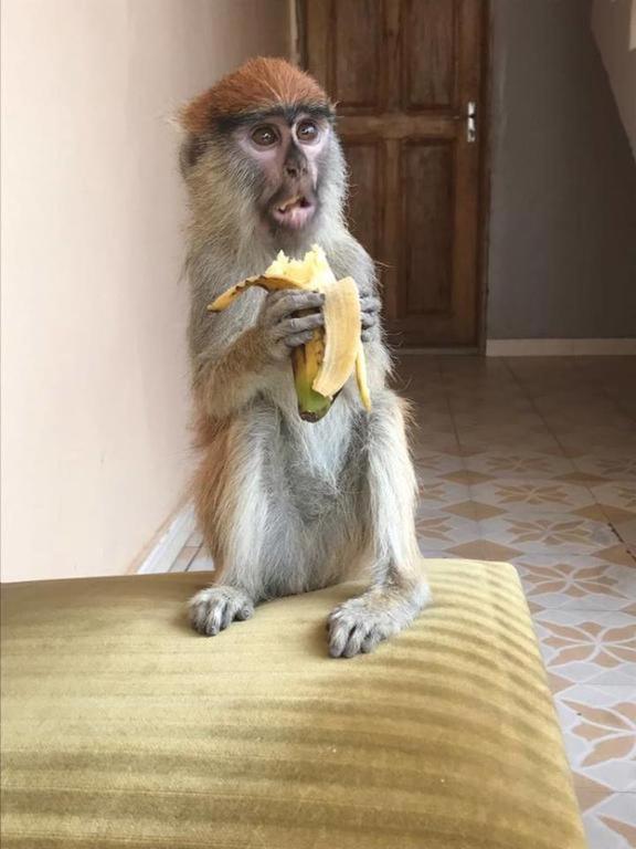 Auberge La Praline Toubakouta Esterno foto